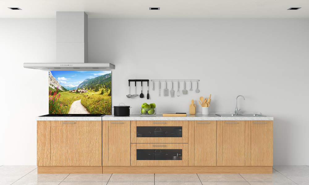 Kitchen splashback Pasture in the Alps