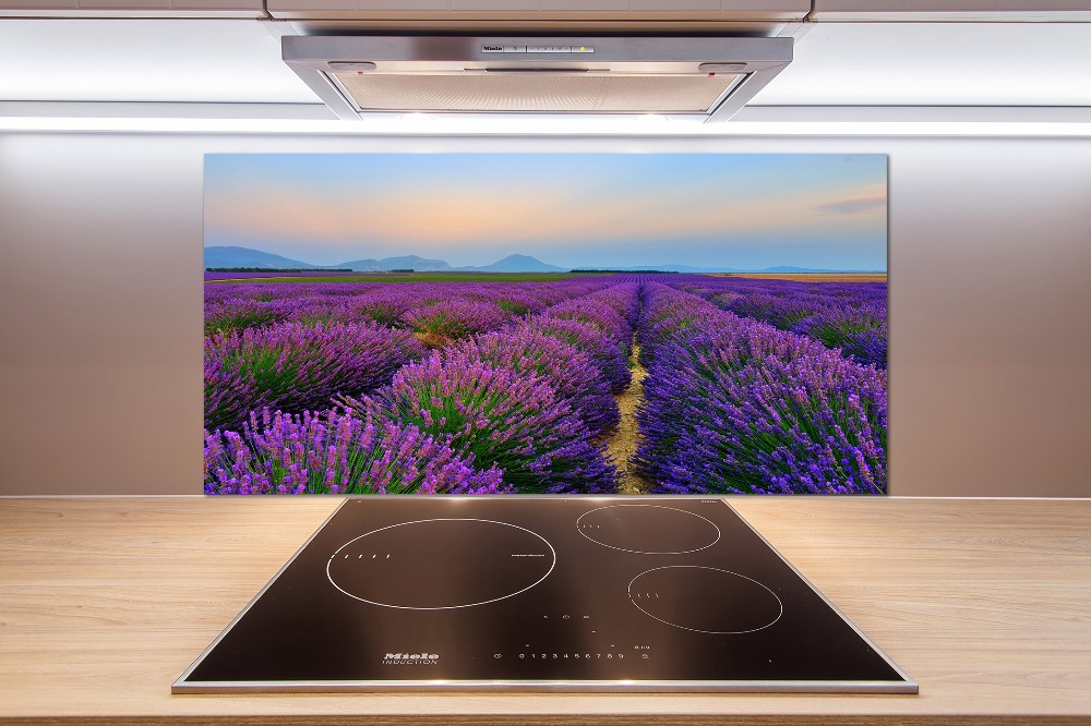 Kitchen splashback Lavender field