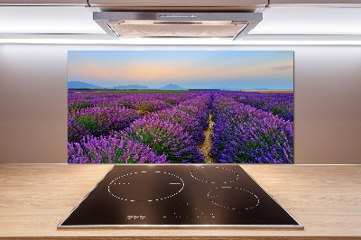 Kitchen splashback Lavender field