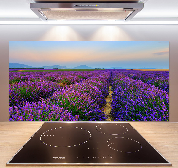 Kitchen splashback Lavender field