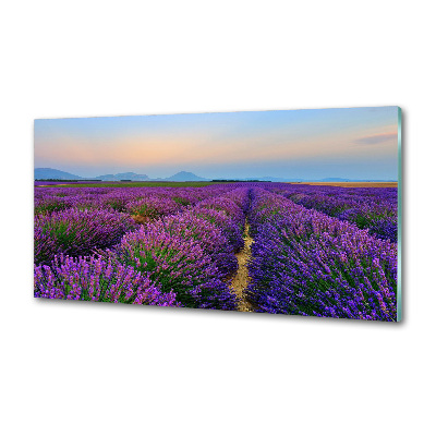 Kitchen splashback Lavender field