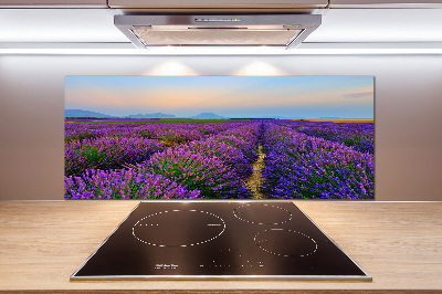 Kitchen splashback Lavender field