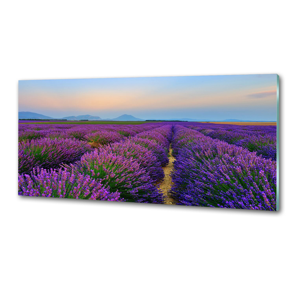 Kitchen splashback Lavender field