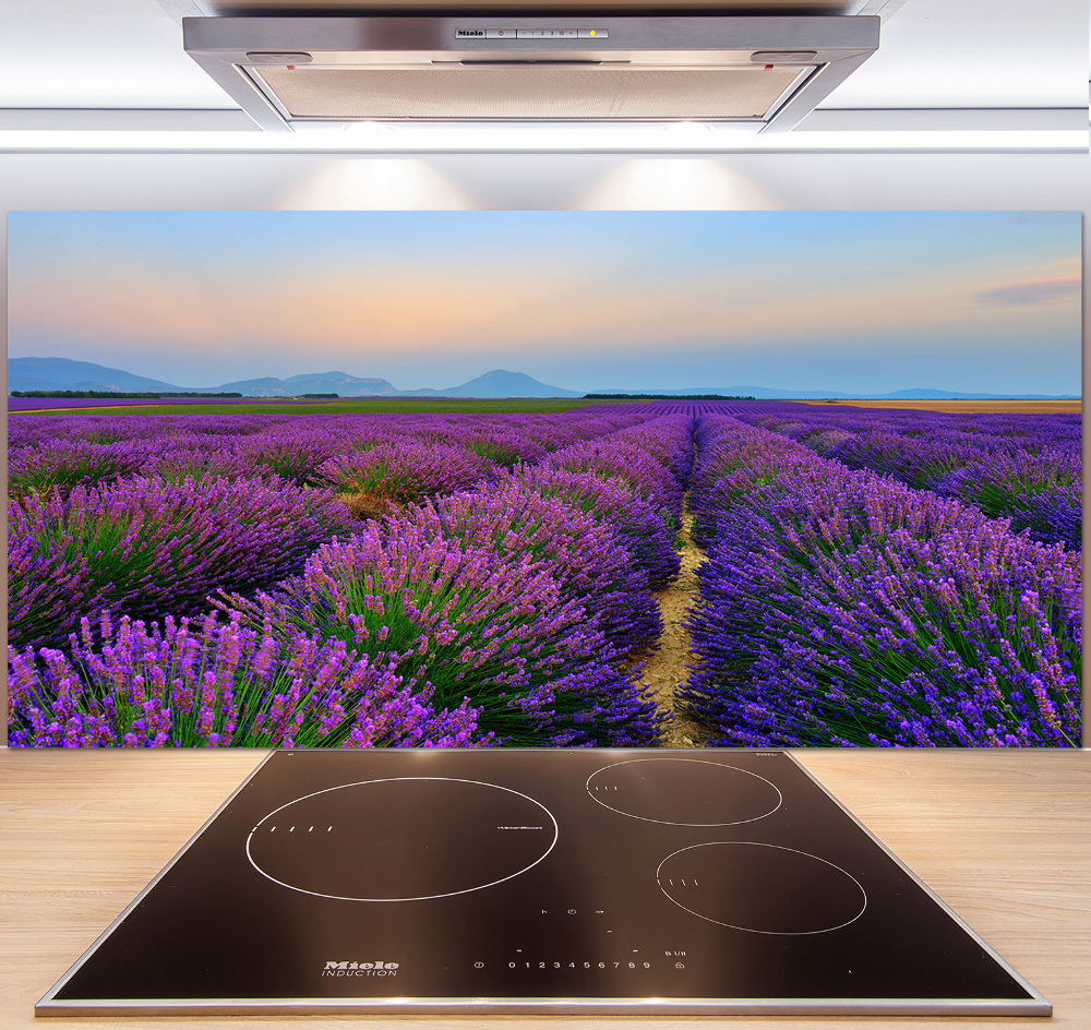 Kitchen splashback Lavender field