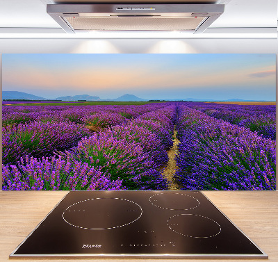 Kitchen splashback Lavender field