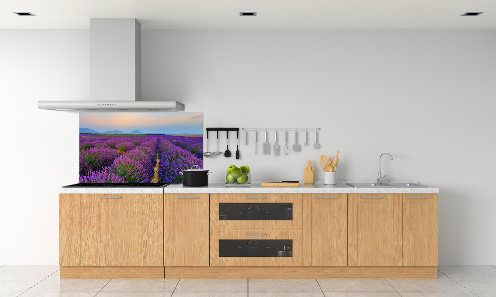 Kitchen splashback Lavender field