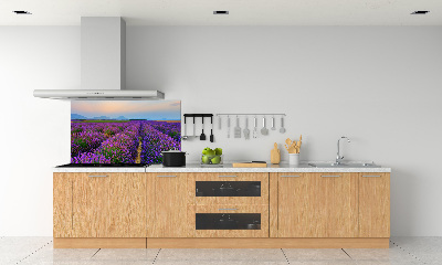 Kitchen splashback Lavender field