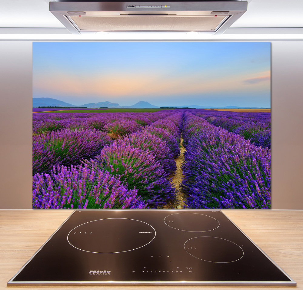 Kitchen splashback Lavender field