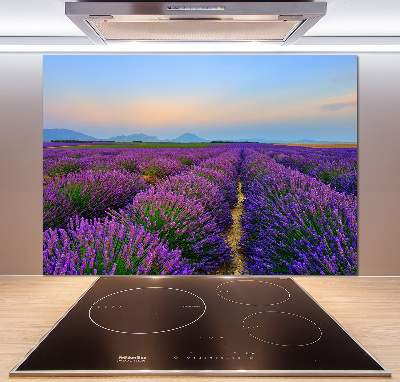 Kitchen splashback Lavender field