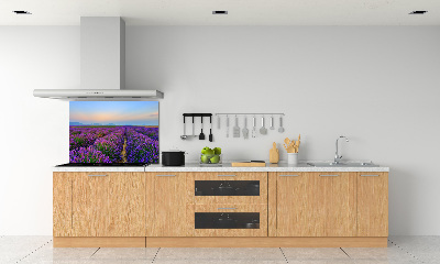 Kitchen splashback Lavender field