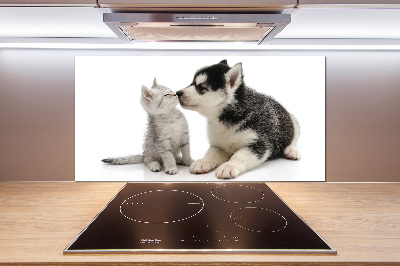 Cooker splashback Dog and cat