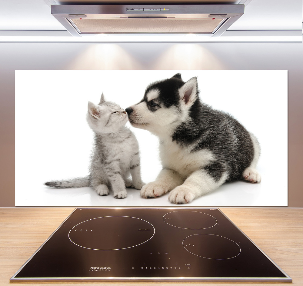 Cooker splashback Dog and cat