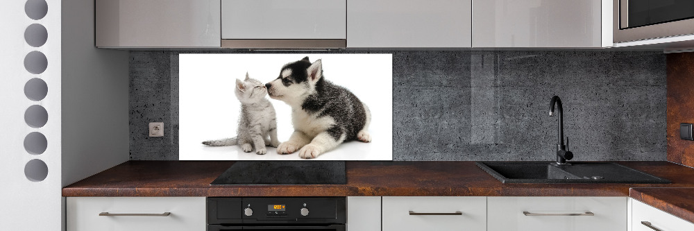 Cooker splashback Dog and cat