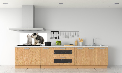 Cooker splashback Dog and cat