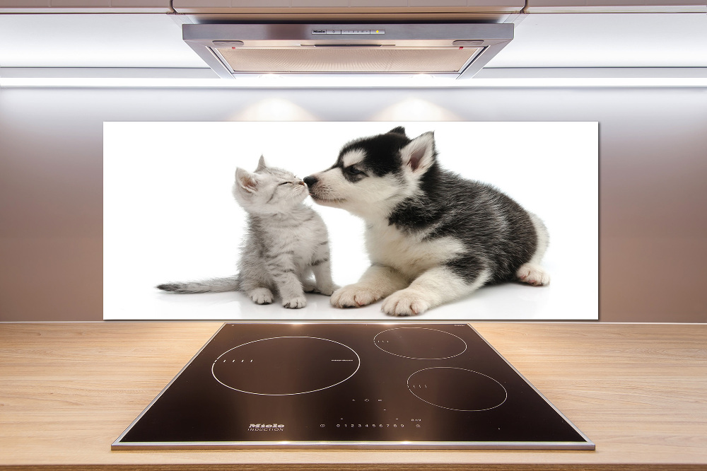 Cooker splashback Dog and cat