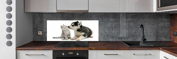 Cooker splashback Dog and cat