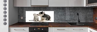 Cooker splashback Dog and cat