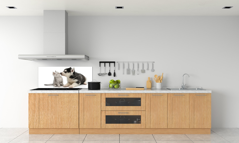 Cooker splashback Dog and cat