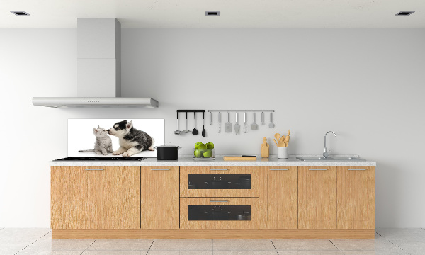 Cooker splashback Dog and cat