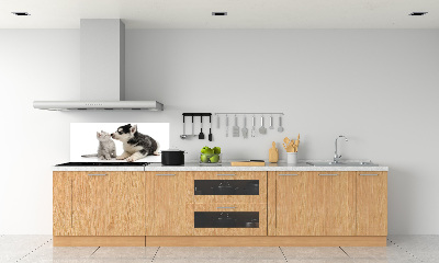 Cooker splashback Dog and cat