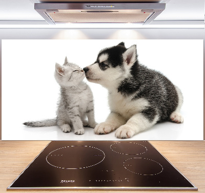 Cooker splashback Dog and cat