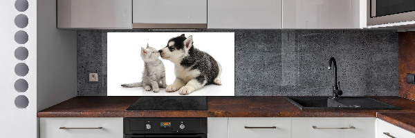 Cooker splashback Dog and cat