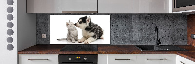 Cooker splashback Dog and cat