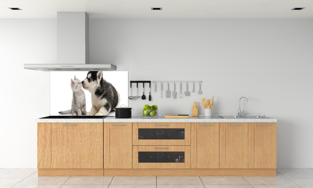 Cooker splashback Dog and cat