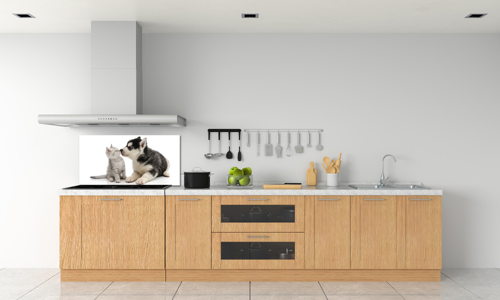 Cooker splashback Dog and cat