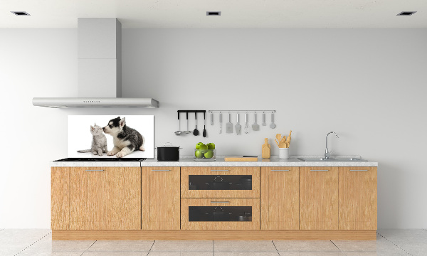 Cooker splashback Dog and cat