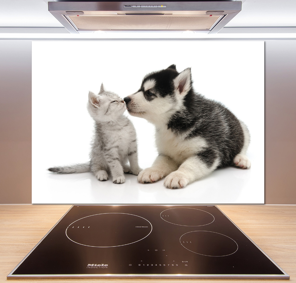 Cooker splashback Dog and cat