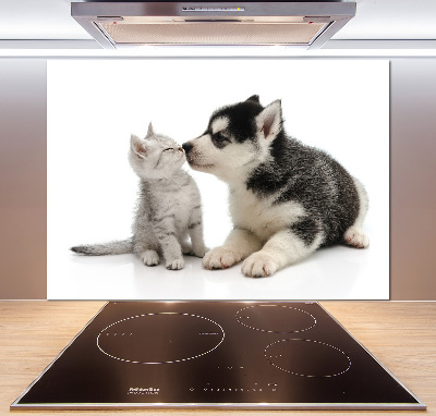 Cooker splashback Dog and cat