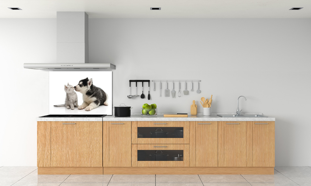 Cooker splashback Dog and cat