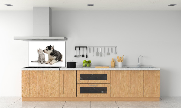 Cooker splashback Dog and cat