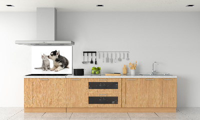 Cooker splashback Dog and cat