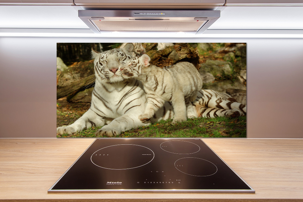 Cooker splashback Tigers