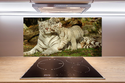 Cooker splashback Tigers