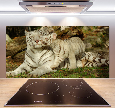 Cooker splashback Tigers