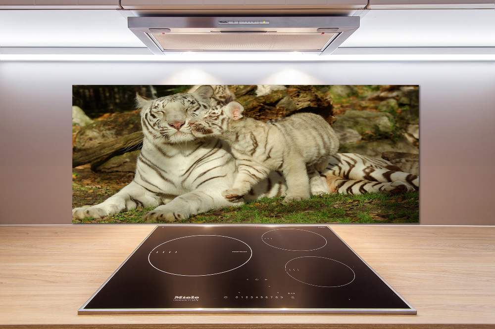 Cooker splashback Tigers