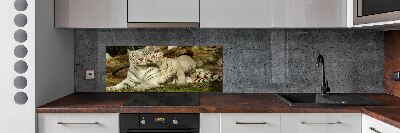 Cooker splashback Tigers