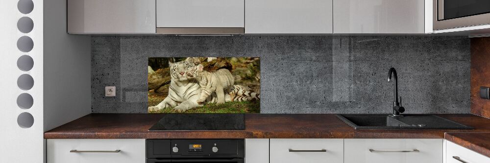 Cooker splashback Tigers