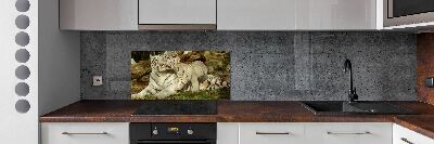 Cooker splashback Tigers