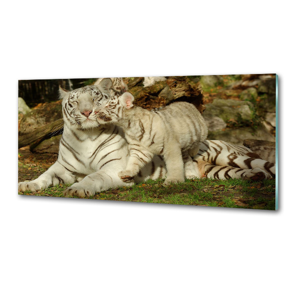 Cooker splashback Tigers