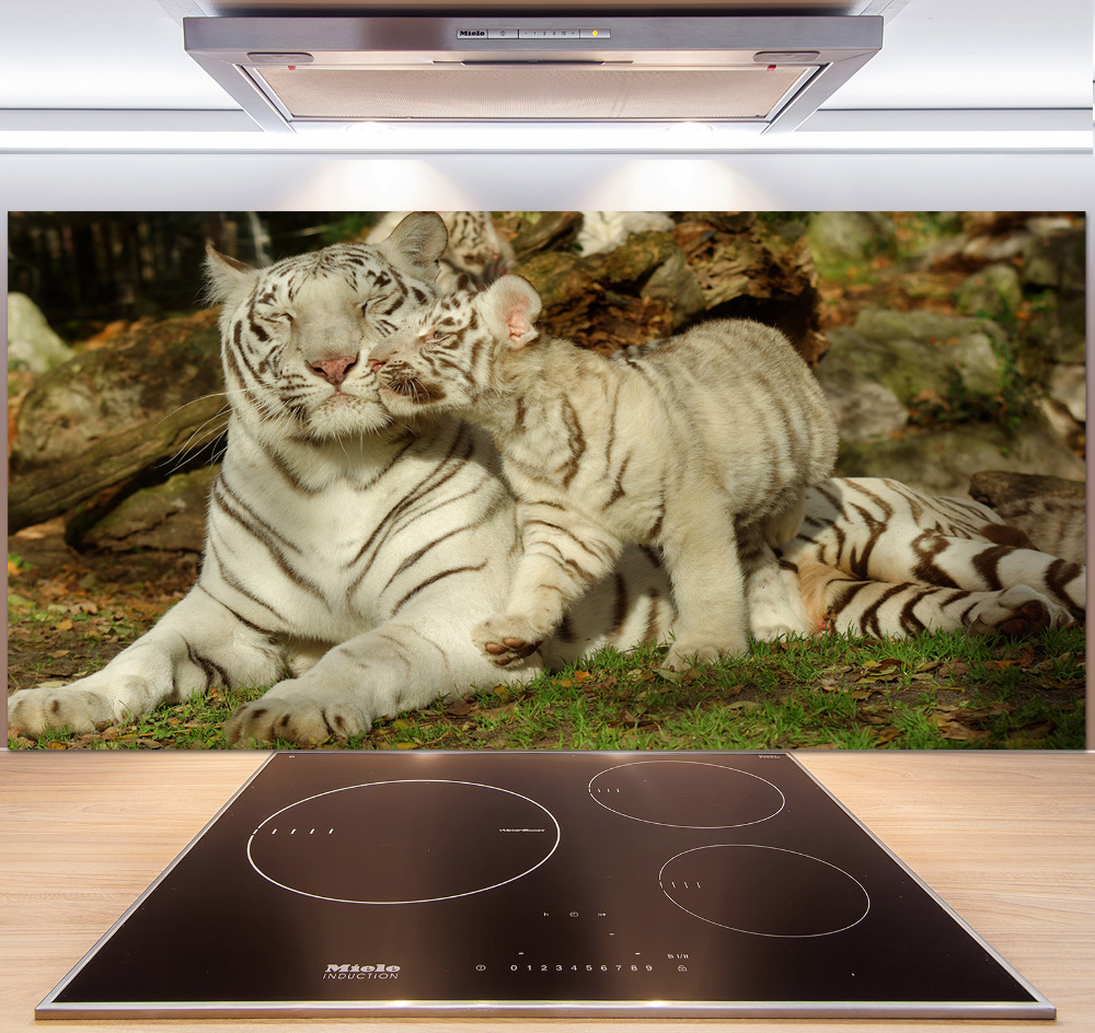 Cooker splashback Tigers