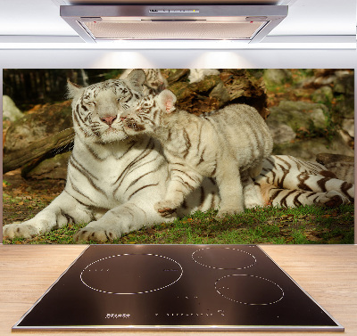 Cooker splashback Tigers