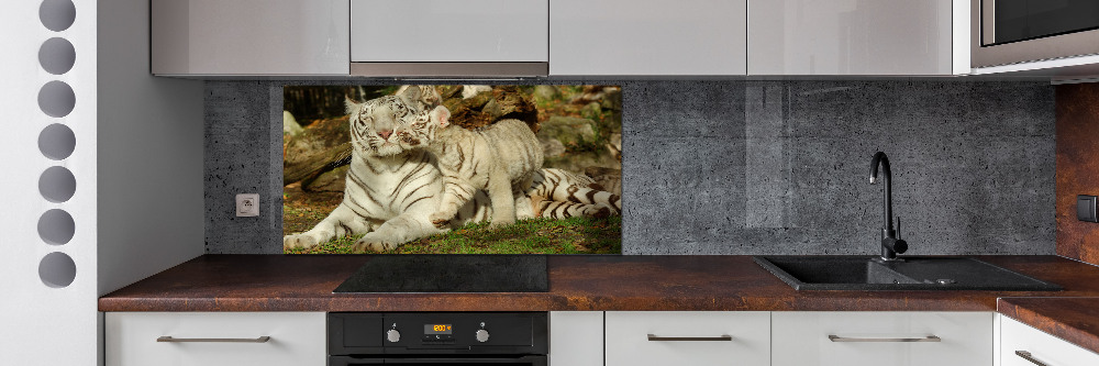 Cooker splashback Tigers