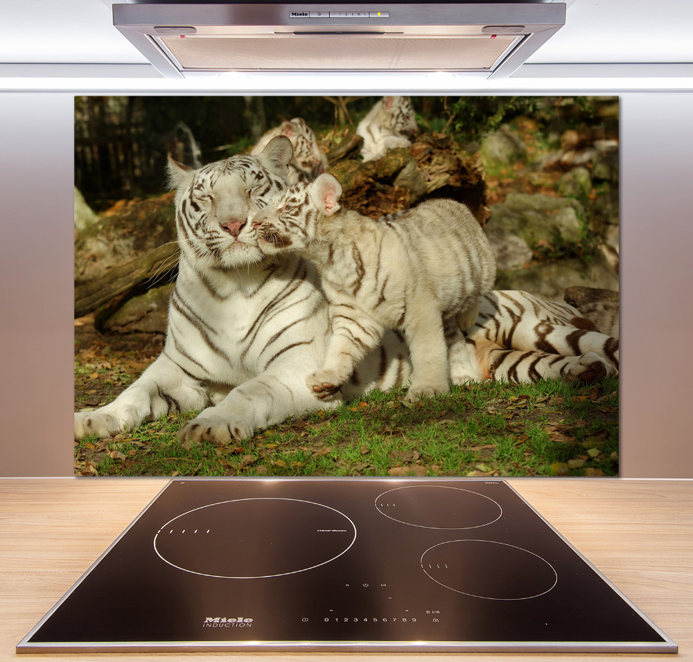 Cooker splashback Tigers