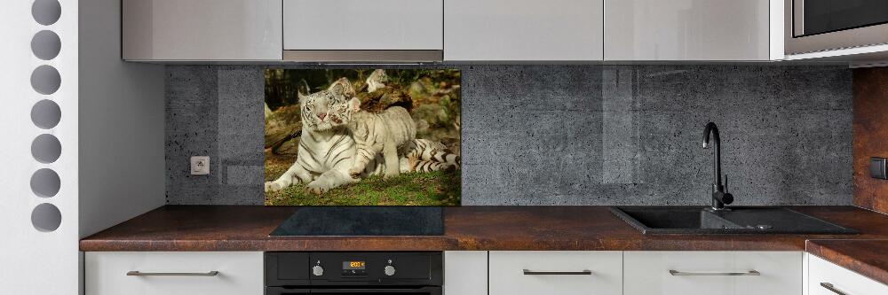 Cooker splashback Tigers