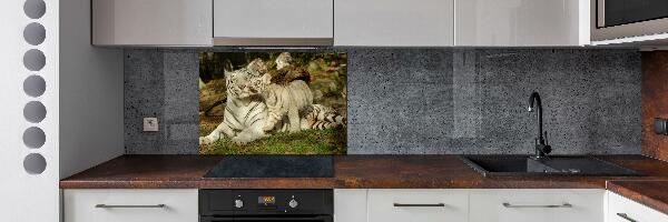 Cooker splashback Tigers