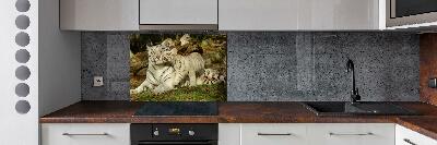 Cooker splashback Tigers